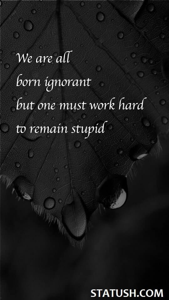 We are all born ignorant - Success Quotes at statush.com