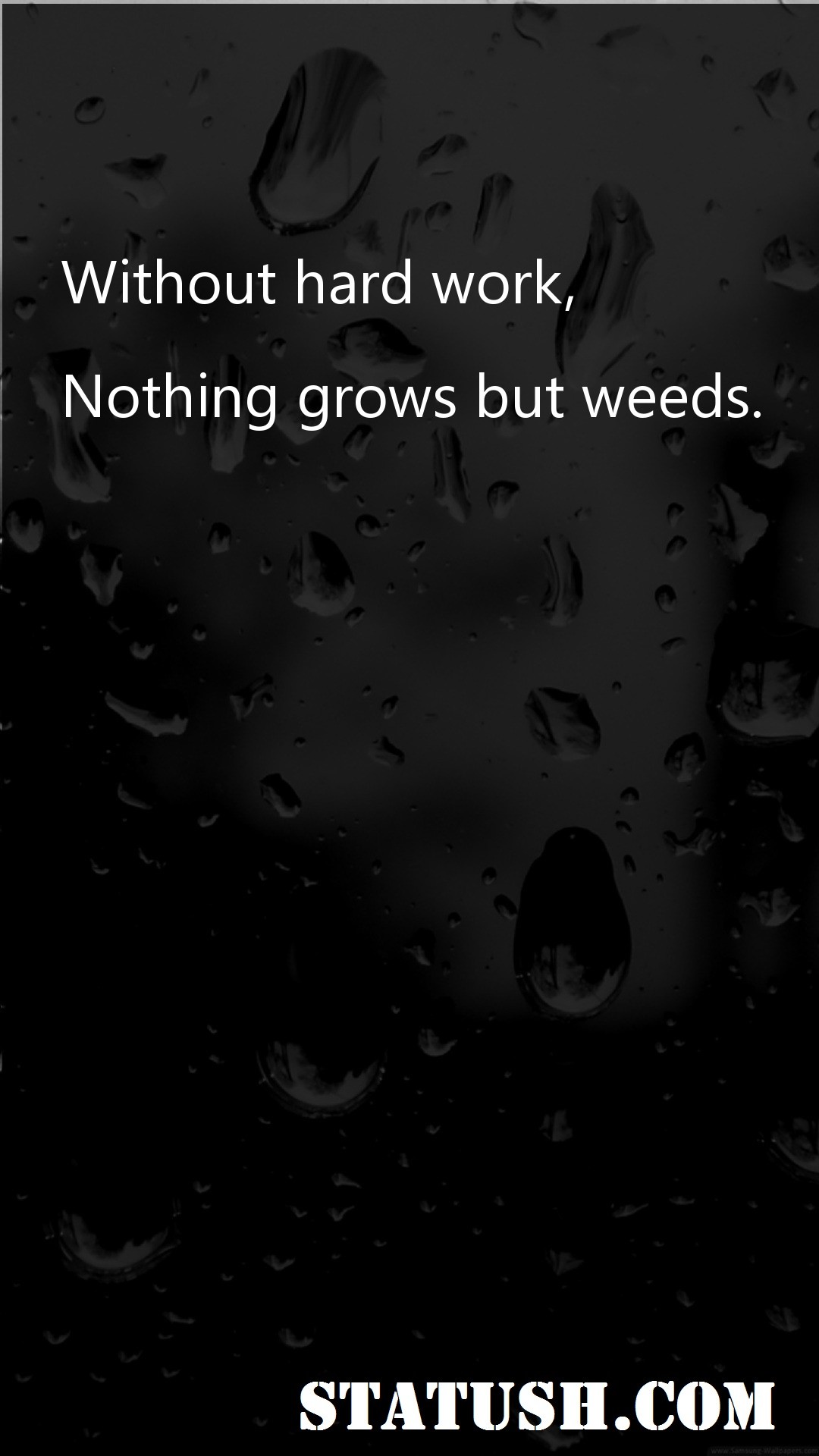 Without hard work - Motivational Quotes at statush.com