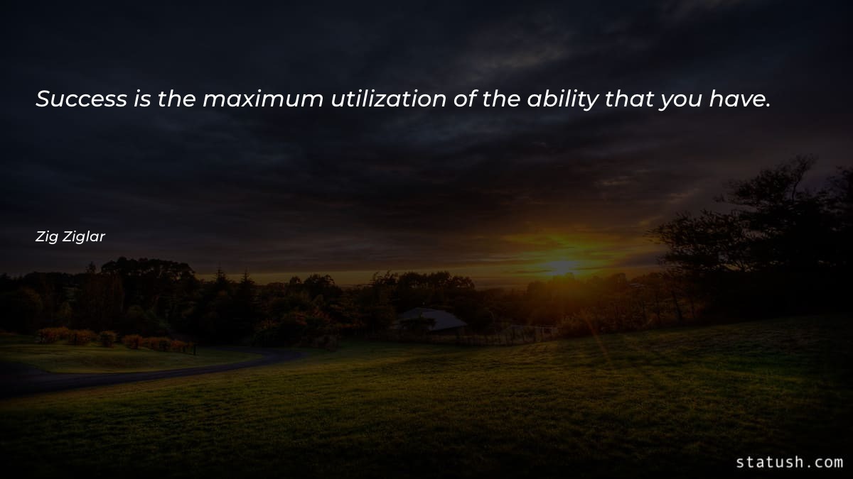 Success is the maximum utilization