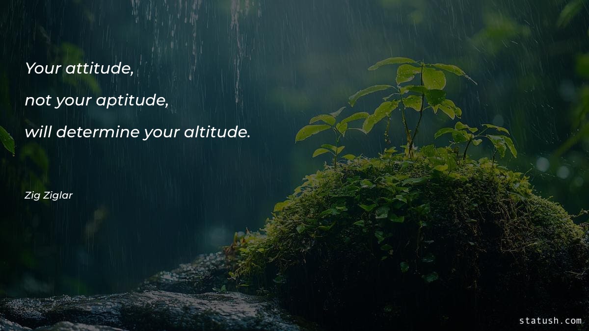 Your attitude, not your aptitude