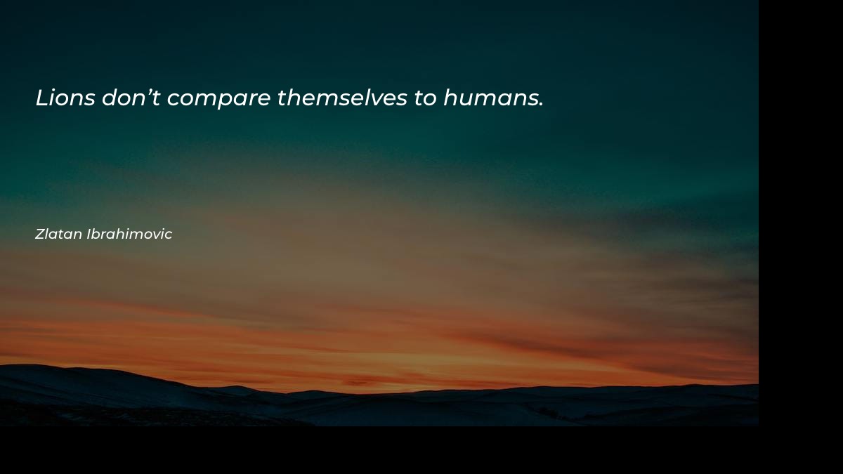 Lions don’t compare themselves to